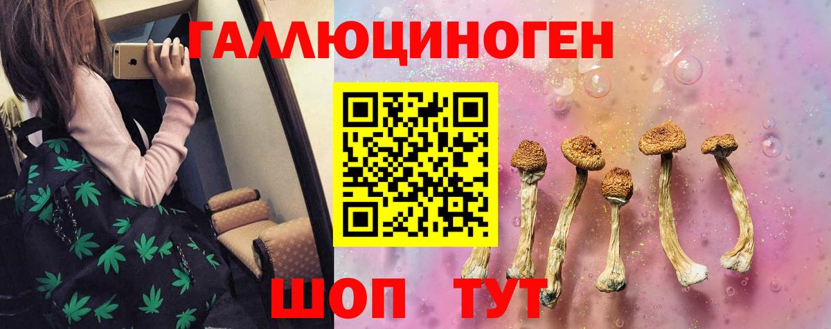 Галлюциногенные грибы Psilocybine cubensis  Вход с VPN  Пенза  Галлюциногенные грибы Psilocybe 